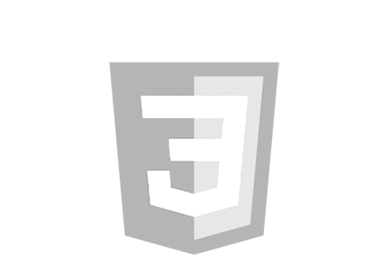 css3